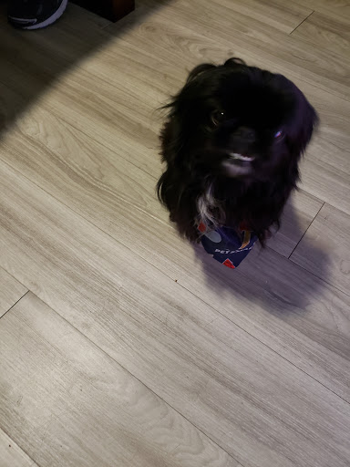 Pet Supply Store «PetSmart», reviews and photos, 625 W Crossville Rd, Roswell, GA 30075, USA