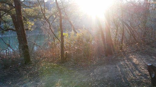 Cabin Rental Agency «Paluxy River Bed Cabins», reviews and photos, 1319 FM 205, Glen Rose, TX 76043, USA