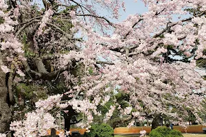 Tsutsujigaoka Park image