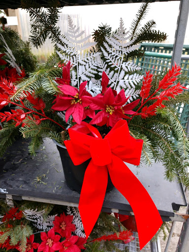 Garden Center «Laura Ann Farms», reviews and photos, 401 NY-17M, Monroe, NY 10950, USA