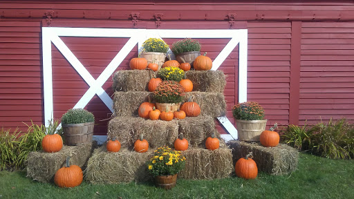 General Store «The Vermont Country Store Weston», reviews and photos, 657 Main St, Weston, VT 05161, USA