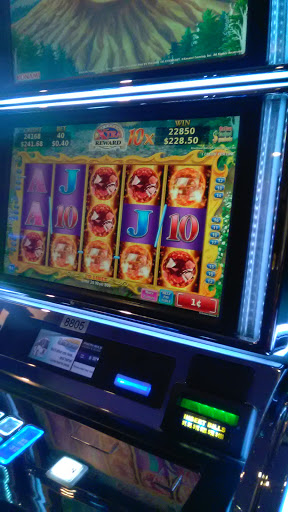 Hotel «Dakota Sioux Casino & Hotel», reviews and photos, 16415 Sioux Conifer Rd, Watertown, SD 57201, USA