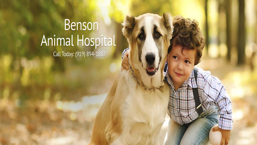 Benson Animal Hospital image