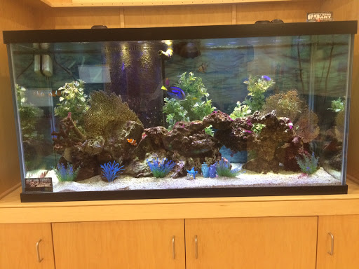 Preschool «Kiddie Academy of Stoughton», reviews and photos, 1202 Washington St, Stoughton, MA 02072, USA