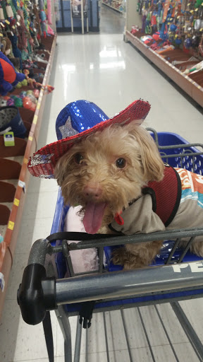 Pet Supply Store «PetSmart», reviews and photos, 5336 Westpointe Plaza Drive, Columbus, OH 43228, USA