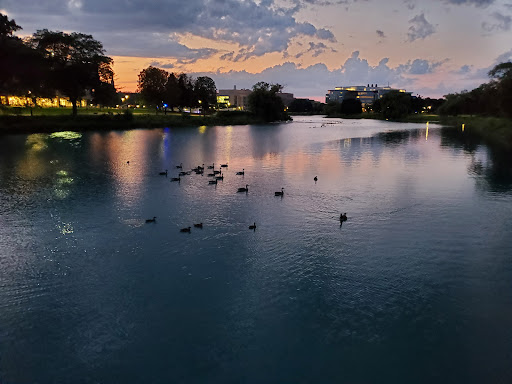 Ice Cream Shop «Cold Stone Creamery», reviews and photos, 1611 Sherman Ave, Evanston, IL 60201, USA