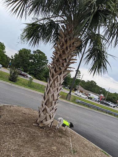 Pet Supply Store «PetSmart», reviews and photos, 5226 S College Rd, Wilmington, NC 28412, USA