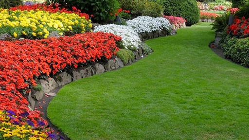 Esmes gardening service