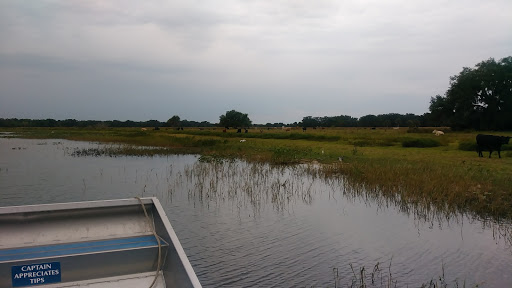 Recreation «Kissimmee Swamp Tours», reviews and photos, 4500 Joe Overstreet Rd, Kenansville, FL 34739, USA