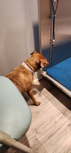 County Line Veterinary Hospital image