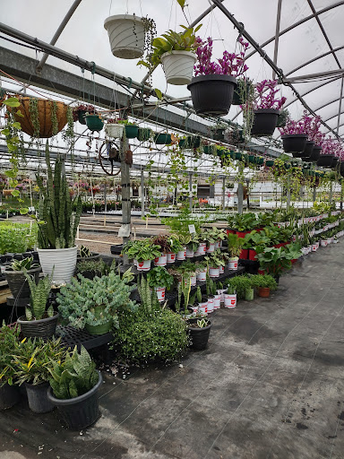 Plant Nursery «Blooming Acres», reviews and photos, 7561 State Rd, Wadsworth, OH 44281, USA