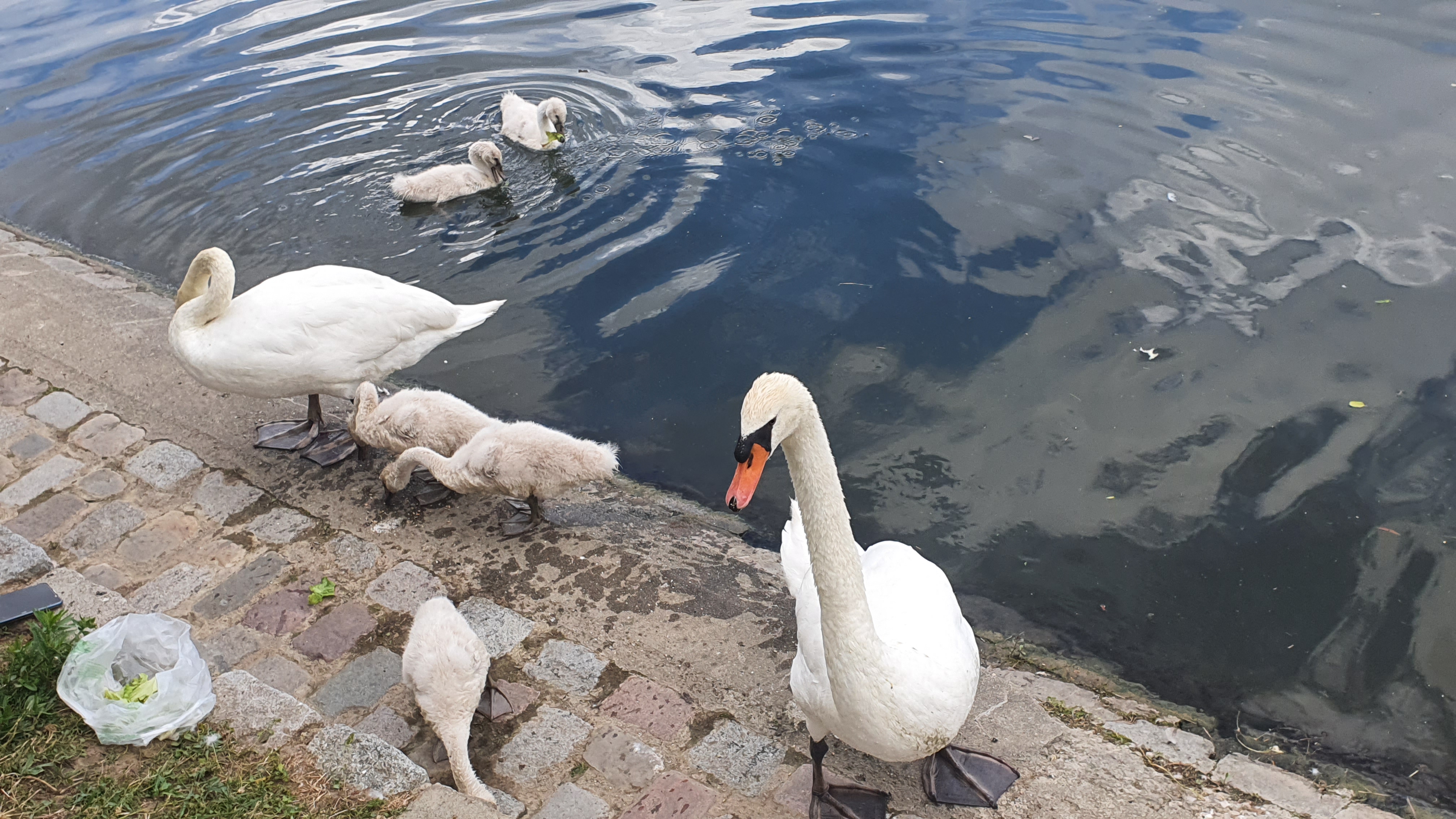Photo n° 1 de l'avis de stephane.O fait le 25/11/2020 à 11:38
