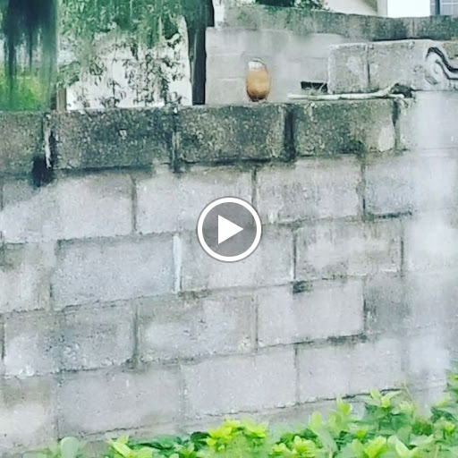 Non-Profit Organization «Art & History Museums - Maitland», reviews and photos, 231 W Packwood Ave, Maitland, FL 32751, USA