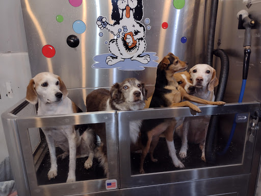 Pet Groomer «Belly scRubs Self Service Pet Wash», reviews and photos, 119 WV-34 #1, Hurricane, WV 25526, USA