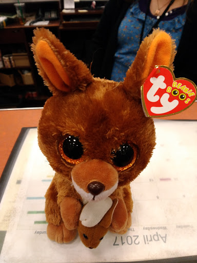 Book Store «Barnes & Noble», reviews and photos, 4801 Concord Pike, Wilmington, DE 19803, USA