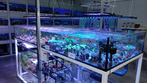 Aquarium and Der Zoo Singer unter Schwarzenfeld, 