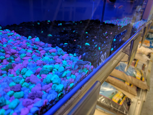 Pet Supply Store «PetSmart», reviews and photos, 2160 Jericho Turnpike, Commack, NY 11725, USA