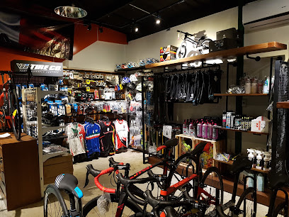 palm's bicycle shop