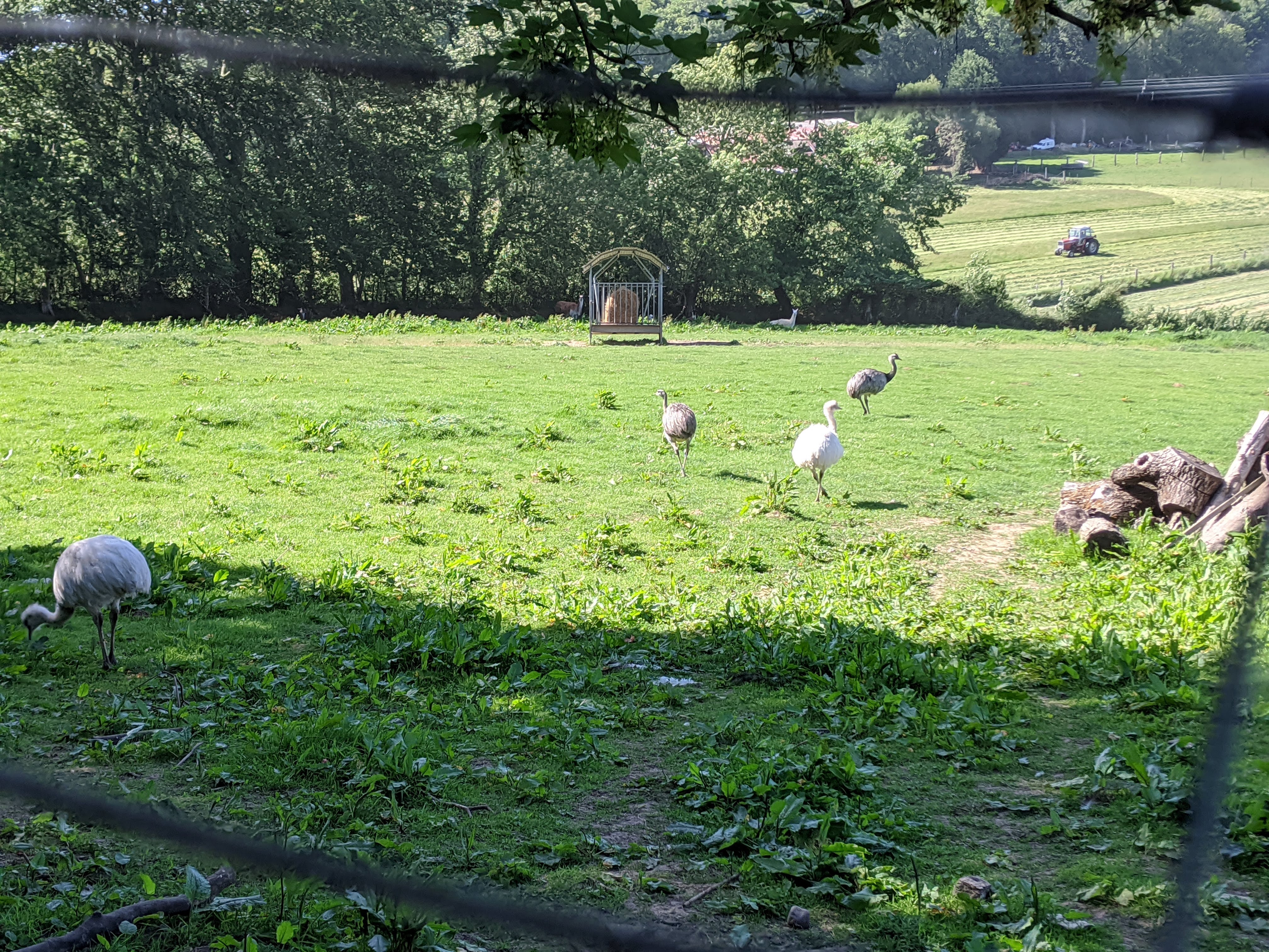 Photo n° 1 de l'avis de Gino.p fait le 23/05/2020 à 16:37