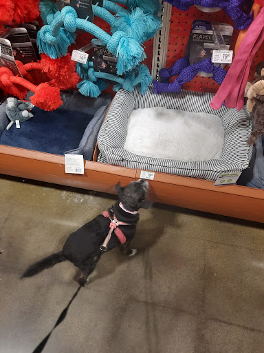 Pet Supply Store «PetSmart», reviews and photos, 860 NE Mall Blvd, Hurst, TX 76053, USA