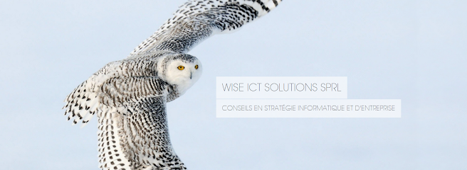 Wise ICT Solutions sprl