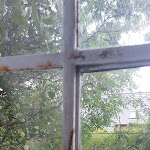 Photo n°33 de l'avis de Denise.a fait le 30/08/2022 à 12:22 sur le  Ferienhaus Itzendorfer Rott, Norddeich à Norden