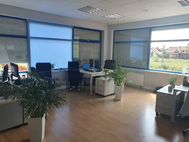 Opinii despre BahnTrans Logistics Sp. z o.o. în Biała Podlaska - Przeprowadzka