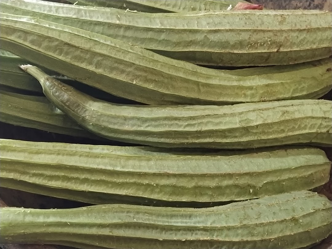 Fresh vegetables