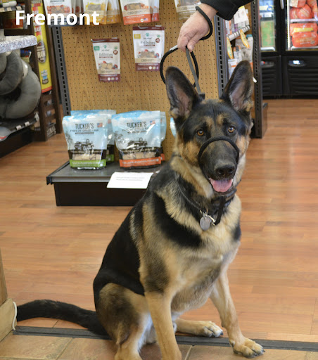 Pet Supply Store «The Natural Pet Enrichment Center», reviews and photos, 6720 Royalton Rd, North Royalton, OH 44133, USA