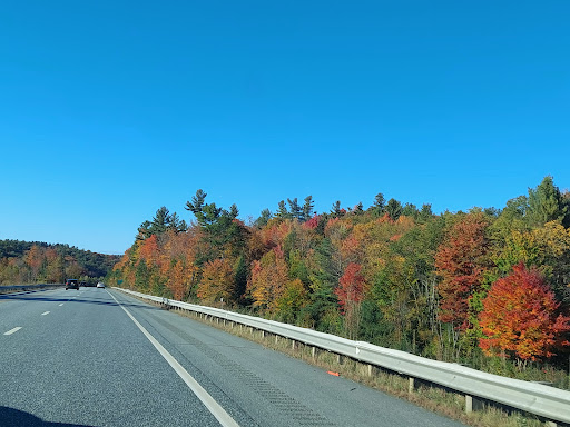 Upper Valley Humane Society, 300 Old Rte 10, Enfield, NH 03748, Non-Profit Organization