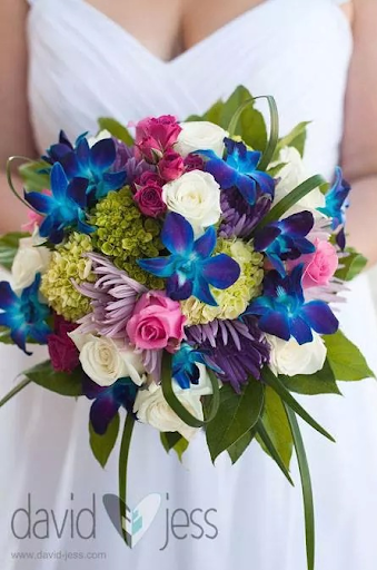 Florist «Sunshine Designs Florist, LLC», reviews and photos, 1813 Creighton Rd, Pensacola, FL 32504, USA