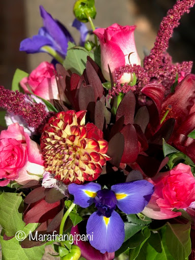 Florist «Frangipani Flowers & Gifts», reviews and photos, 1203 4th St, San Rafael, CA 94901, USA