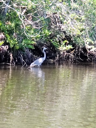 Boat Tour Agency «River Lilly Cruises», reviews and photos, 500 E Prima Vista Blvd, Port St Lucie, FL 34983, USA