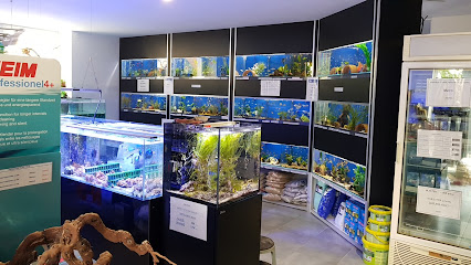 Thalassa-Aquarium