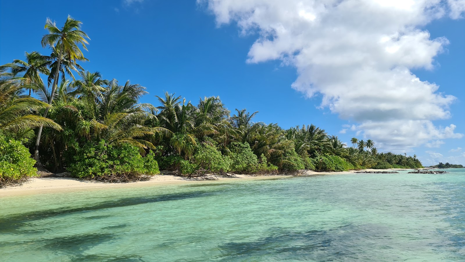 Dhigurah Beach photo #8