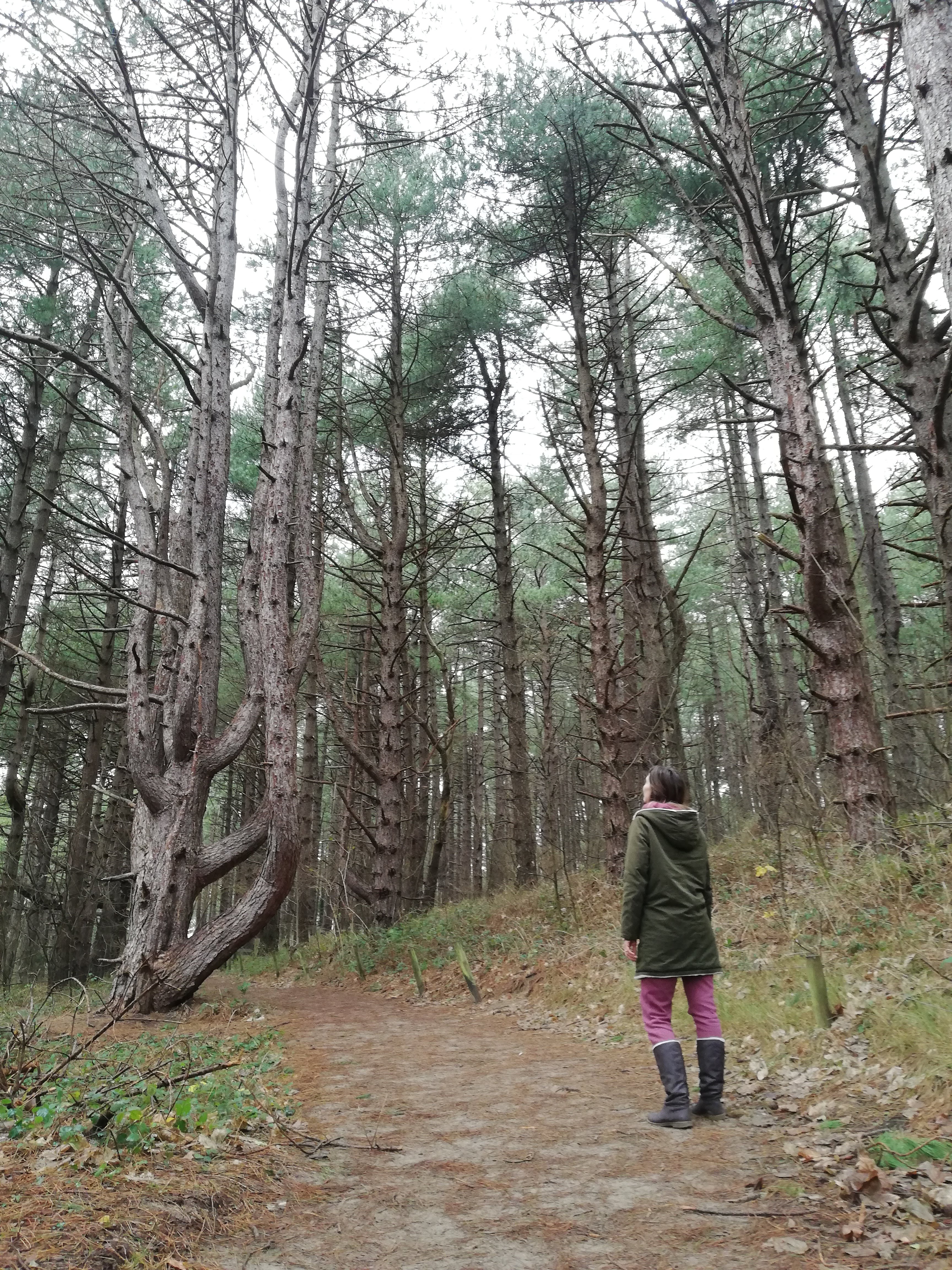 Photo n° 2 de l'avis de Vince.e fait le 12/01/2021 à 11:33