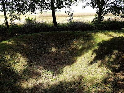Bois de Wallieux à Soyécourt