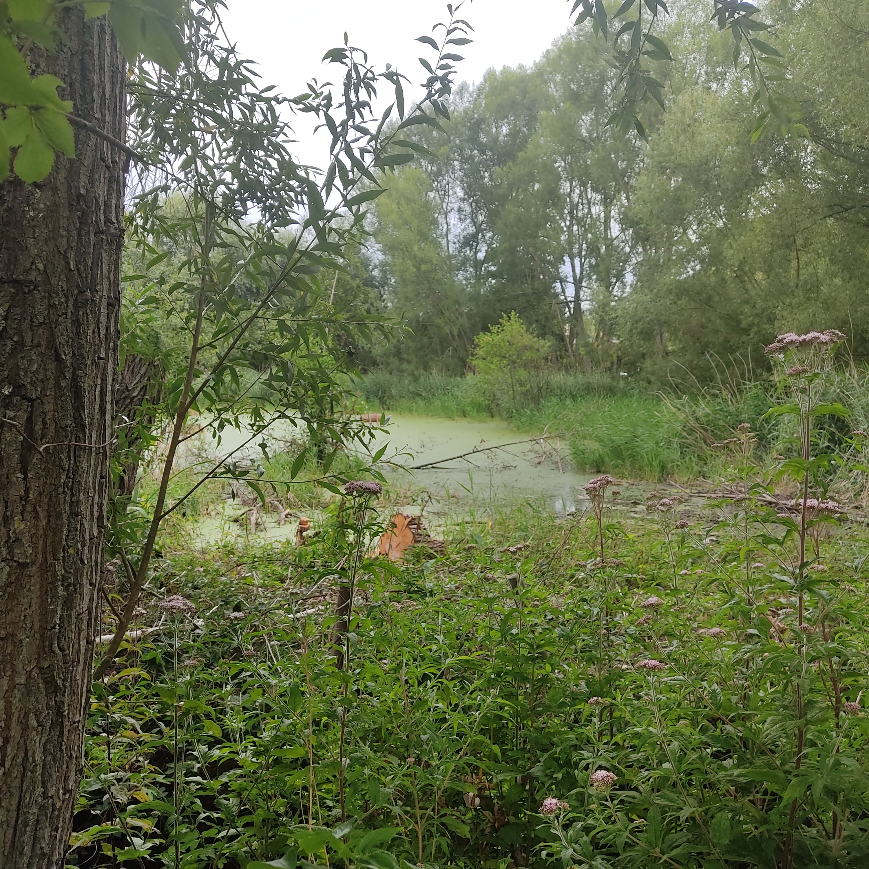 Photo n° 10 de l'avis de Café.a fait le 28/07/2022 à 17:38