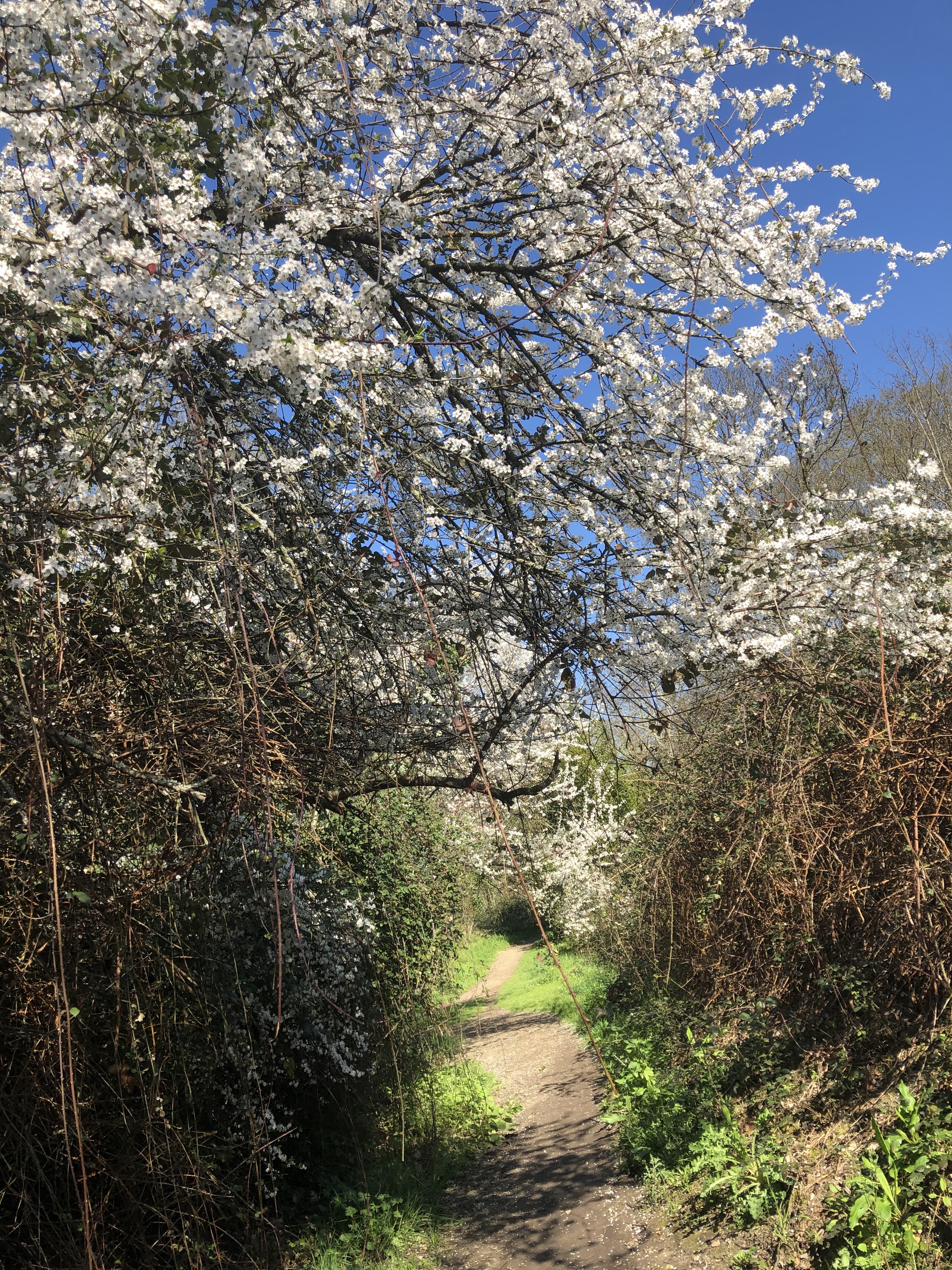 Photo n° 6 de l'avis de Hsiangyuan.i fait le 12/03/2021 à 17:42