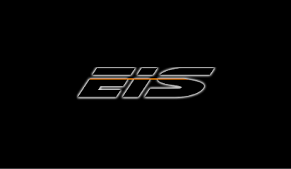 EIS - Executive Information Services
