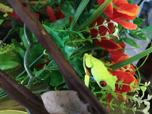 Pet Supply Store «E & M Pet Shop», reviews and photos, 5900 Whittier Blvd, Los Angeles, CA 90022, USA