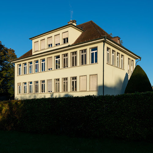 Schule Dörfli - Freienbach
