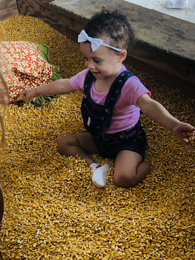 Farm «Buford Corn Maze.», reviews and photos, 4470 Bennett Rd, Buford, GA 30519, USA