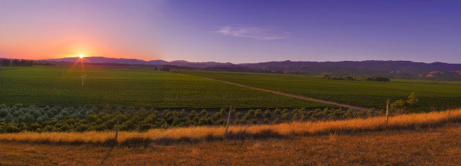 Dog Point Vineyard