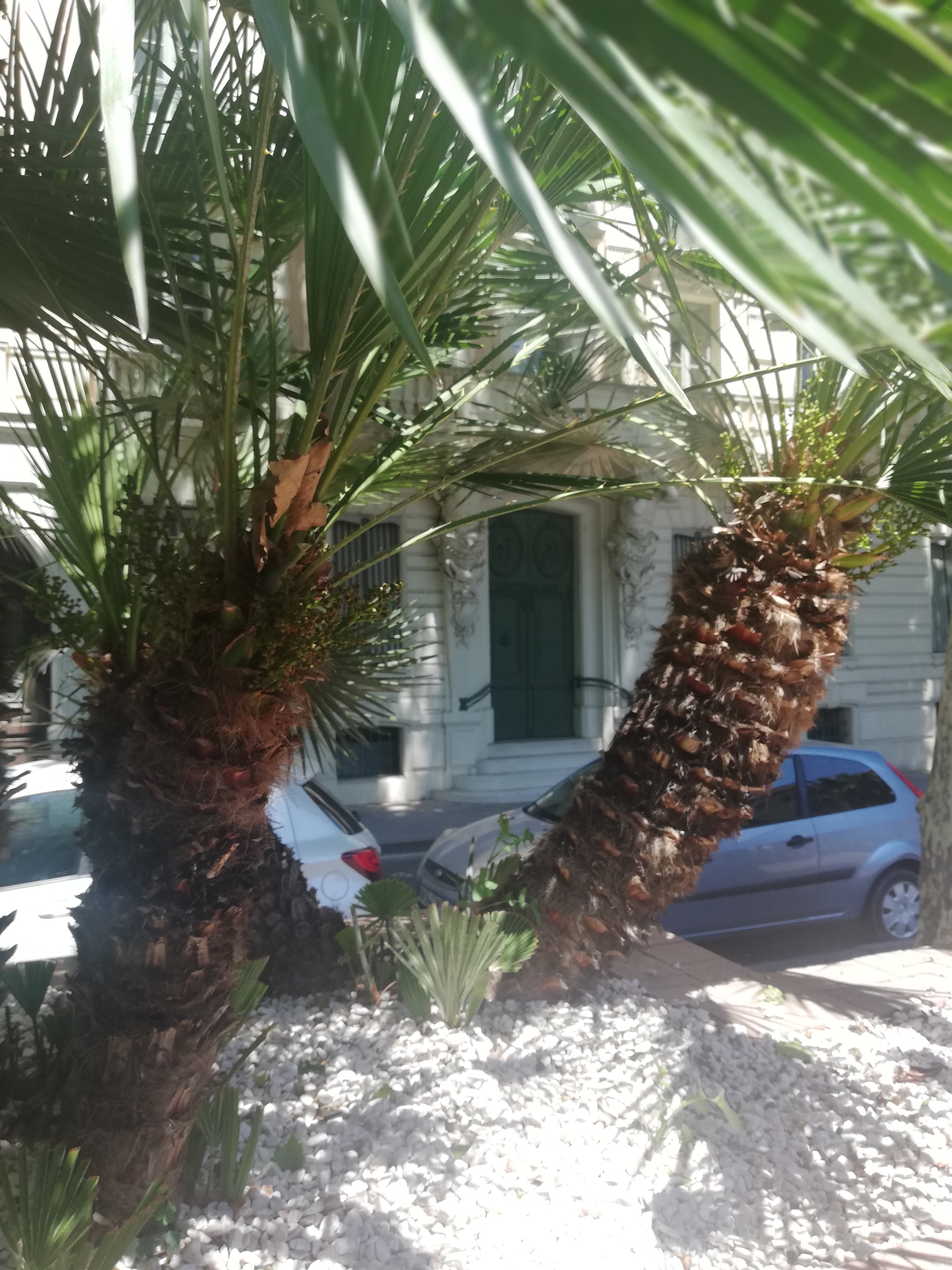 Photo n° 1 de l'avis de Igor.e fait le 26/05/2019 à 18:17