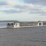 Photo n° 16 de l'avis de Méténier.i fait le 09/11/2021 à 06:35 pour Embarcadère de Blaye à Blaye