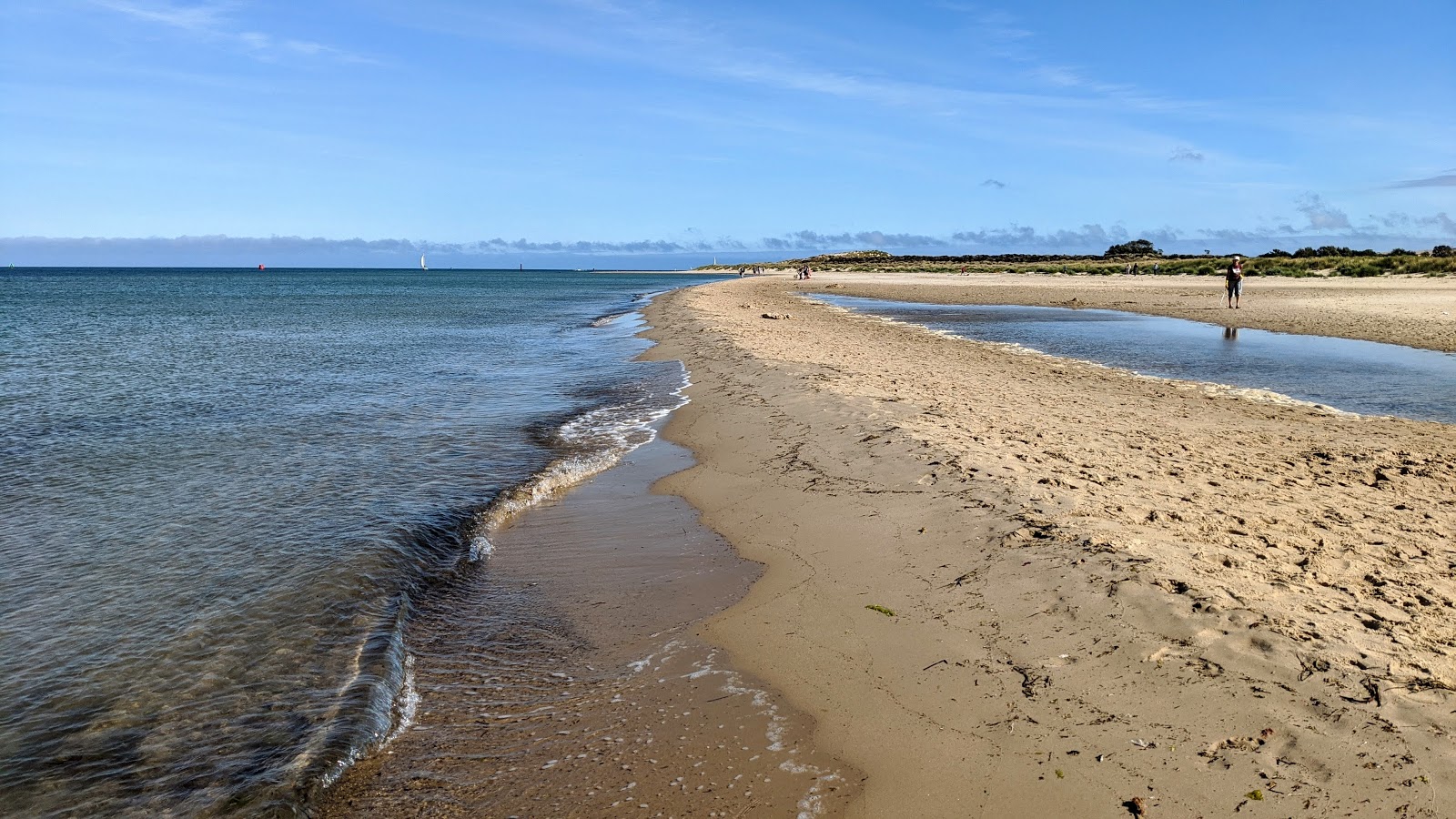 Φωτογραφία του Shell Bay Beach με επίπεδο καθαριότητας πολύ καθαρό