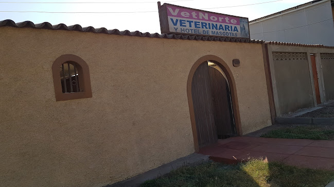 Opiniones de Clínica Veterinaria Norte en Arica - Veterinario