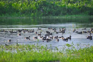 Satajaan Bird Sanctuary image