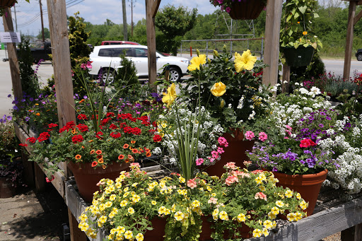 Plant Nursery «A Growing Concern Garden Center», reviews and photos, 1707 Spartanburg Hwy, Hendersonville, NC 28792, USA